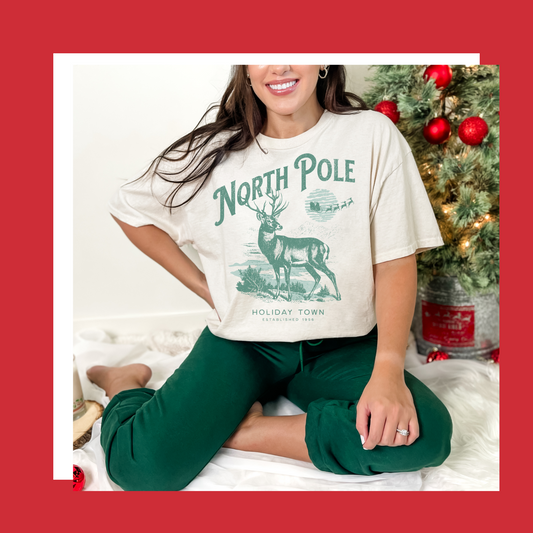 NORTH POLE POST CARD